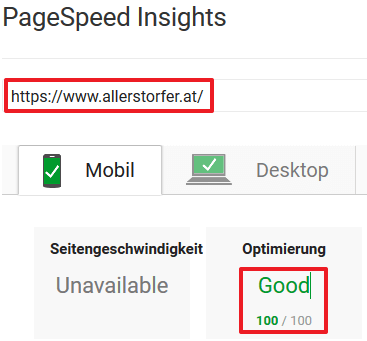 Google PageSpeed Insight 100/100